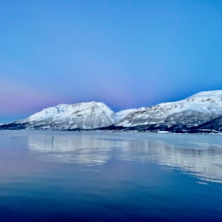 Manndalen Sjobuer Villa Samuelsberg Luaran gambar