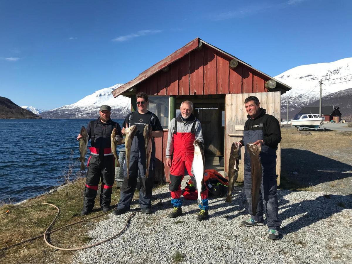 Manndalen Sjobuer Villa Samuelsberg Luaran gambar