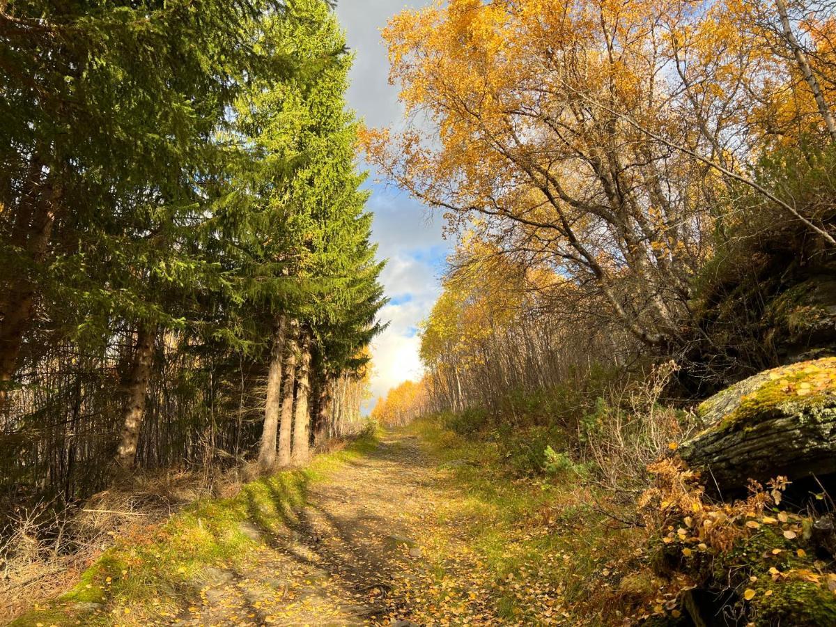 Manndalen Sjobuer Villa Samuelsberg Luaran gambar