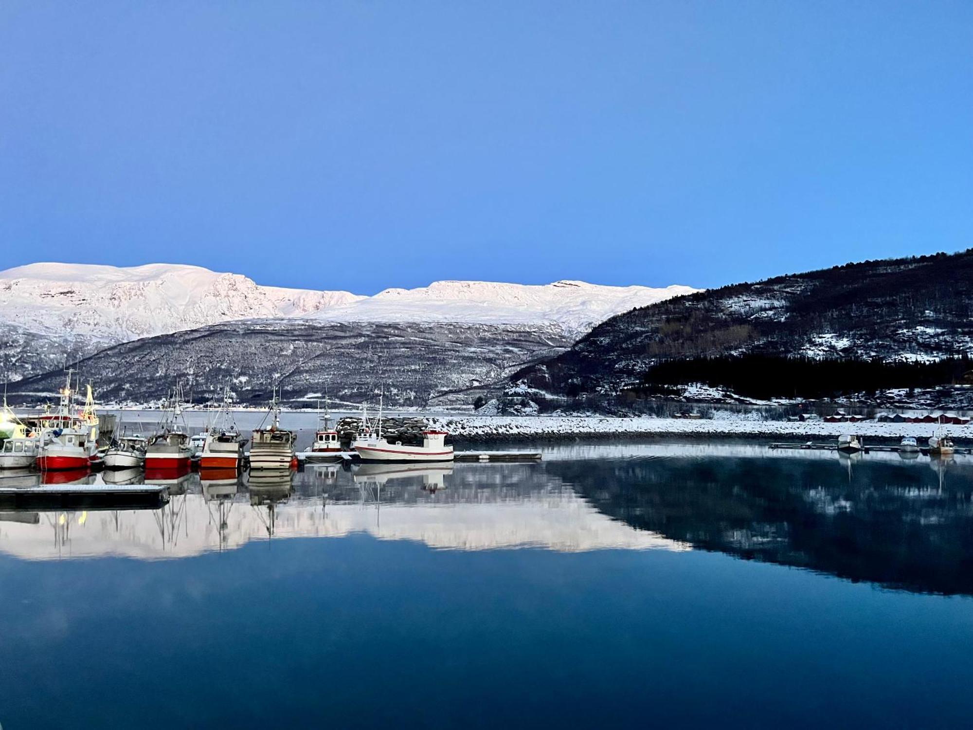 Manndalen Sjobuer Villa Samuelsberg Luaran gambar