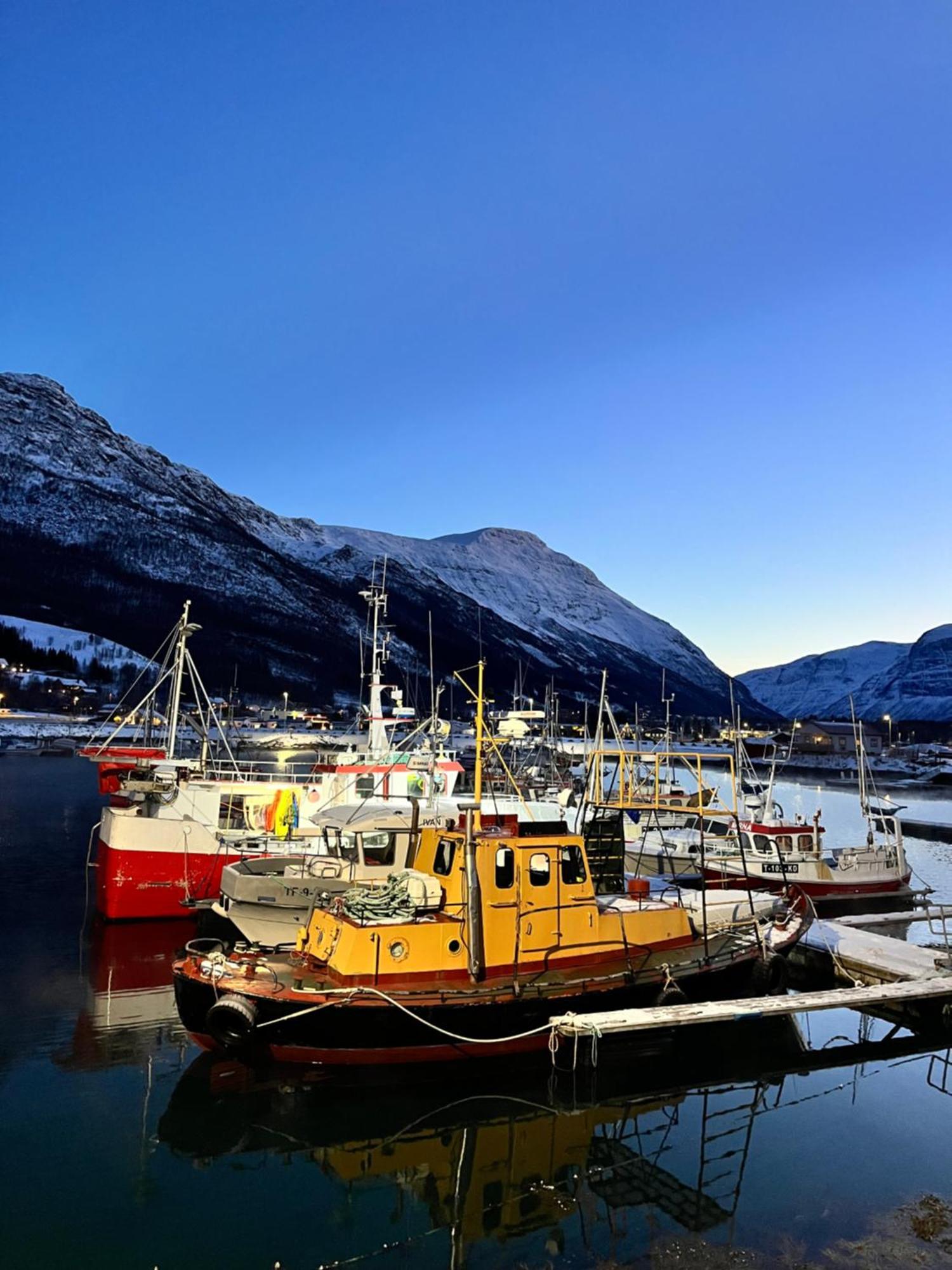 Manndalen Sjobuer Villa Samuelsberg Luaran gambar